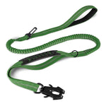 Laisse Chien Extensible