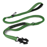 Laisse Chien Extensible