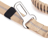 Laisse Chien Extensible