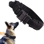 Collier Militaire Chien