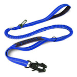 Laisse Chien Extensible