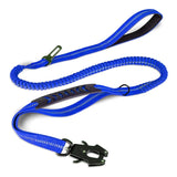 Laisse Chien Extensible