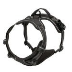 Collier Harnais Chien