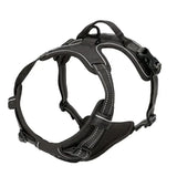Collier Harnais Chien